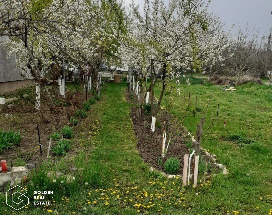 Duplex parter, cu gradina si mini livada