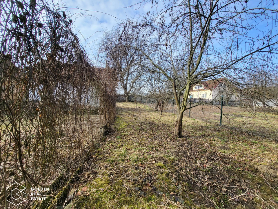 Casa cu doua corpuri de cladire si anexe, teren 1350 mp, Savarsin