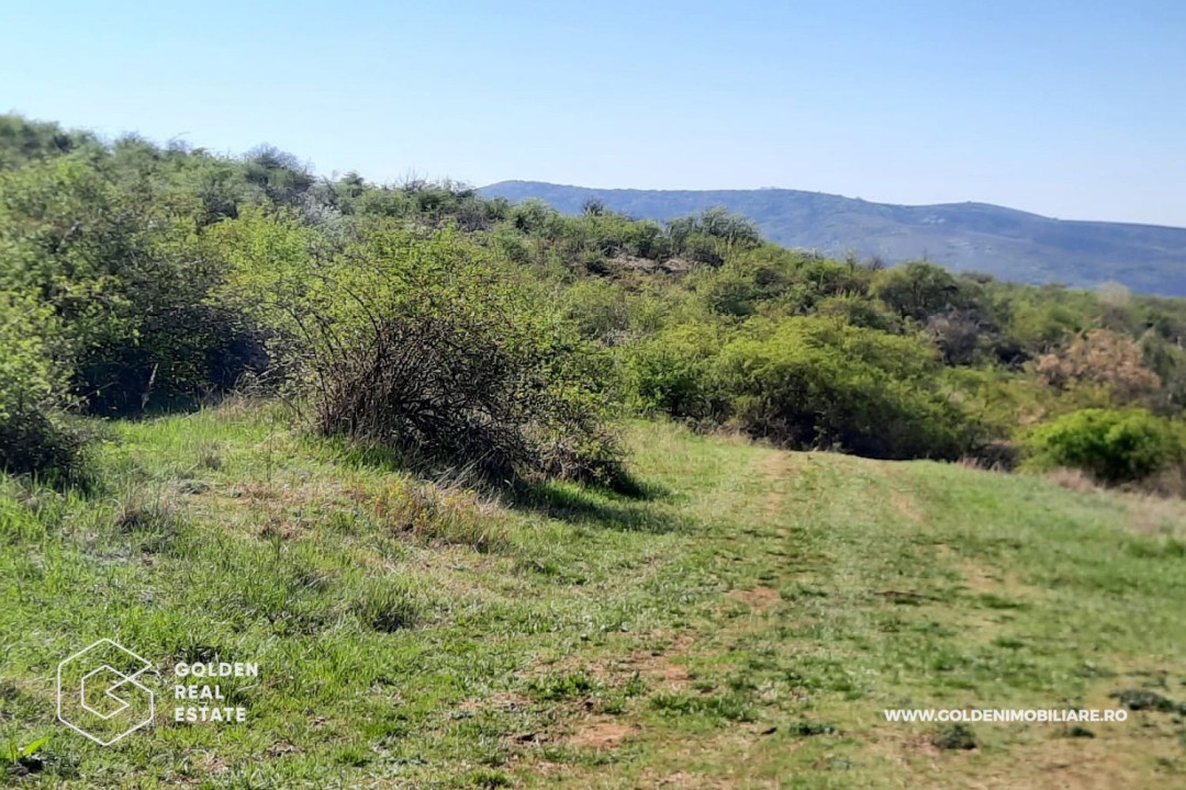 Teren intravilan Valea Domneasca,  localitatea Ghioroc