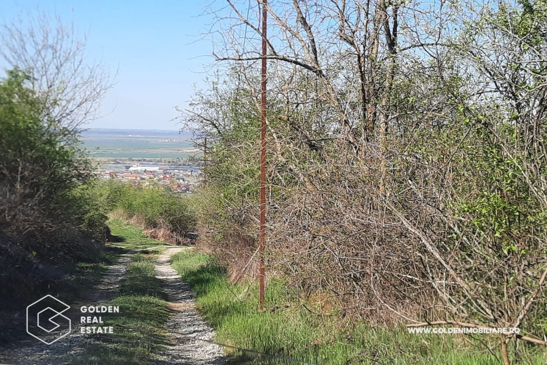 Teren intravilan Valea Domneasca,  localitatea Ghioroc