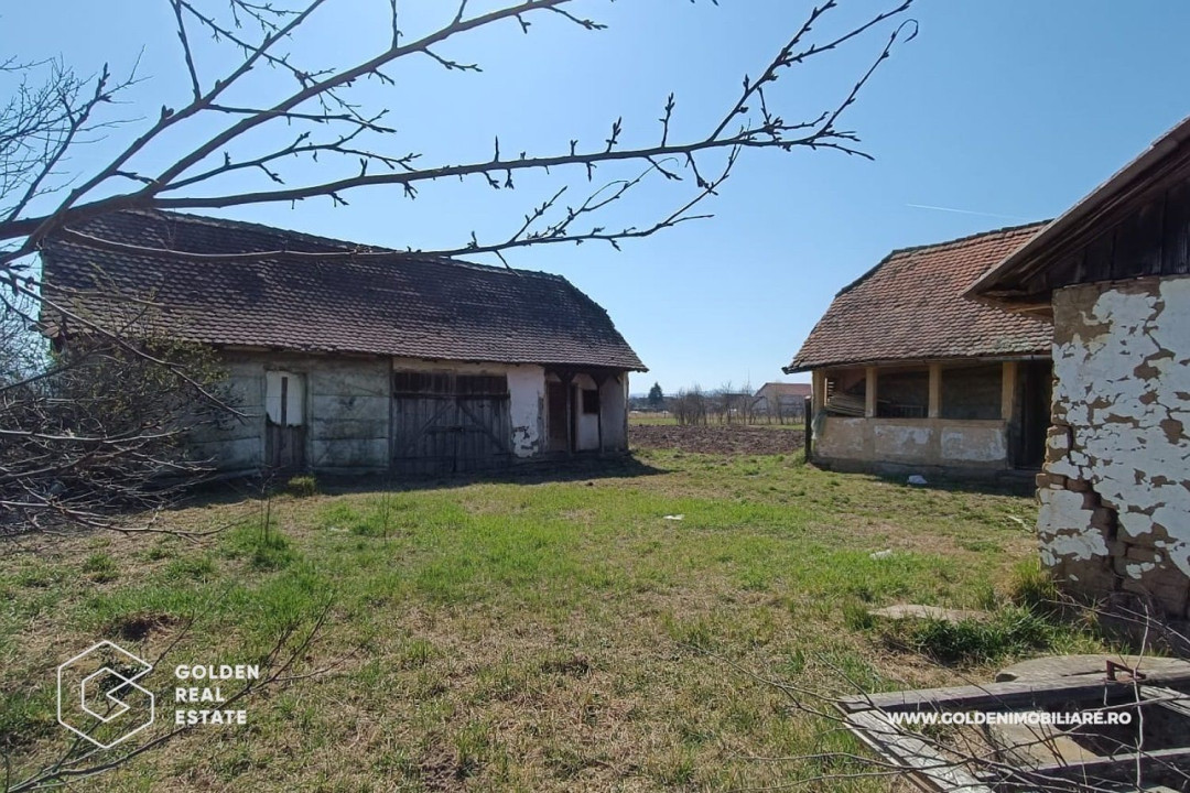 Casa cu teren generos 6149 mp, aproape de centru, Tarnova