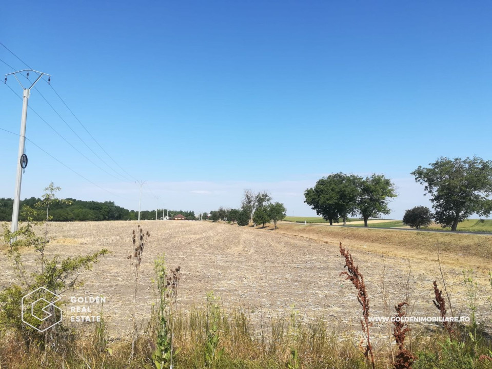 Teren intravilan, pentru constructii hale industriale, zona Pecica