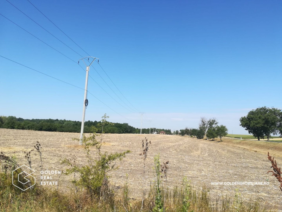 Teren intravilan, pentru constructii hale industriale, zona Pecica