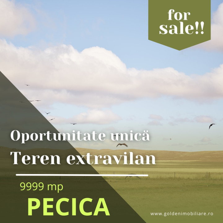 Oportunitate unica! Teren extravilan, 9999 mp, Pecica