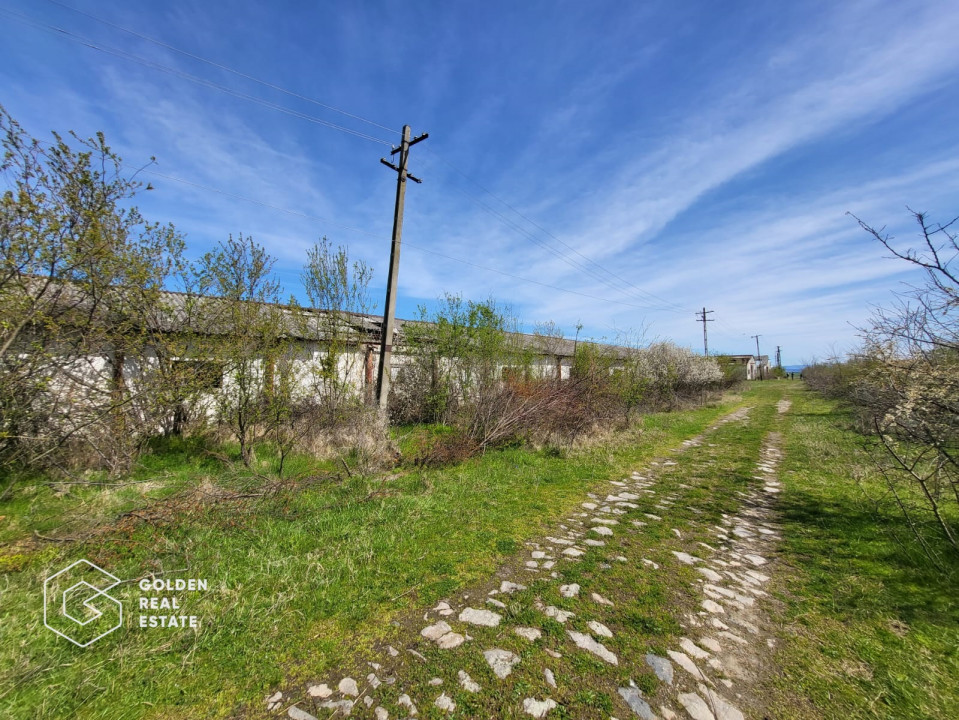 Teren extravilan, 22.5 ha, comuna Maureni