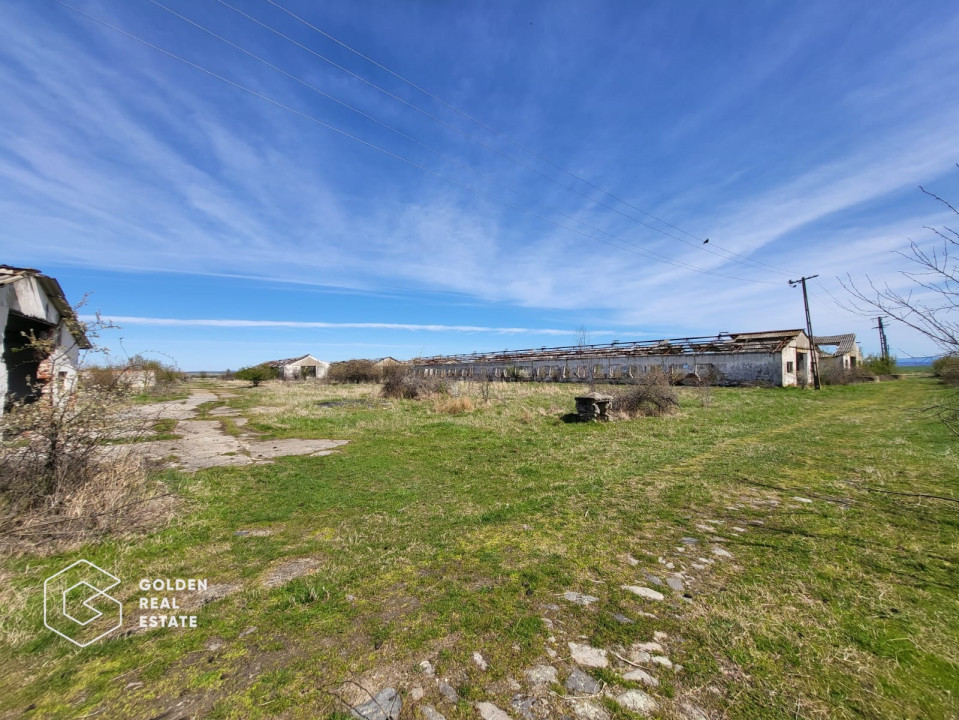 Teren extravilan, 22.5 ha, comuna Maureni