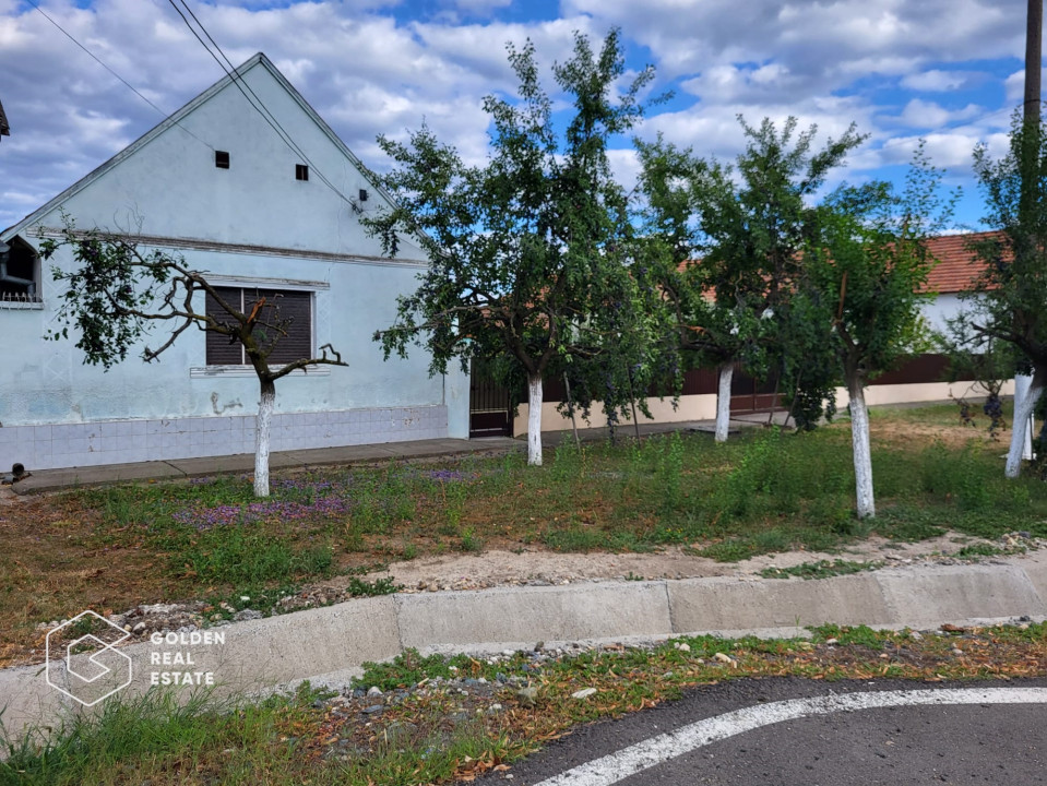 Casa cu teren 3300 mp, comuna Zabrani