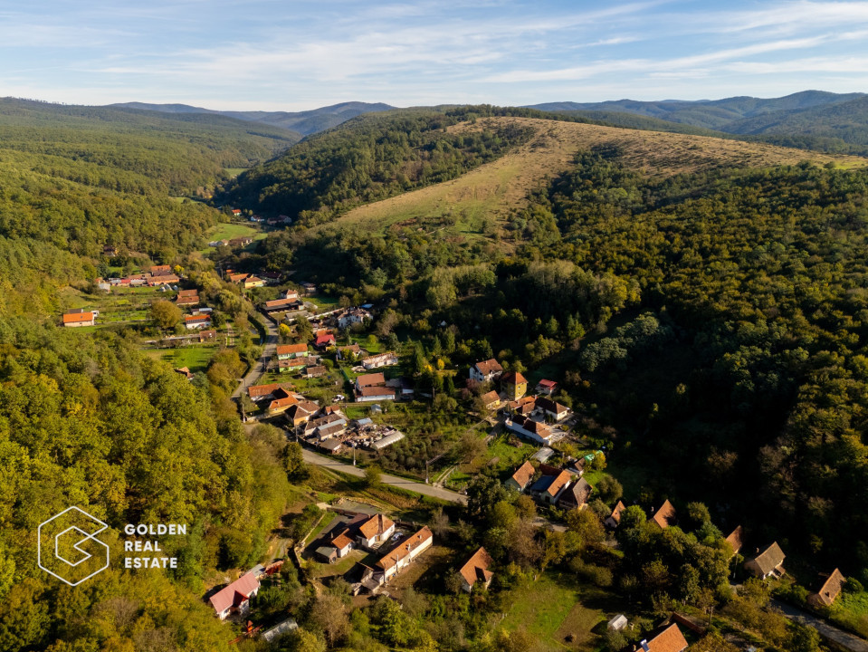 Casa de vacanta, localitatea Cladova, ideal pozitionata