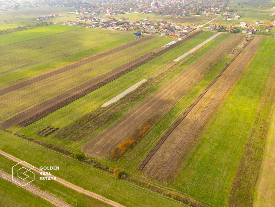 Parcele de 500 mp in Livada, cu toate utilitatile la strada