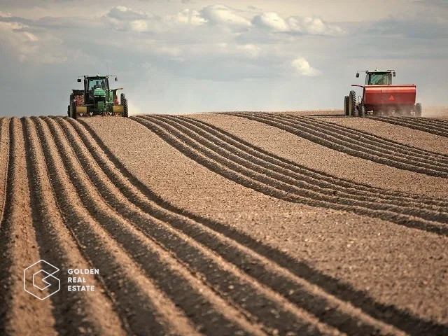 Teren Arabil Comuna Galugareni, sat Hulubesti, Giurgiu